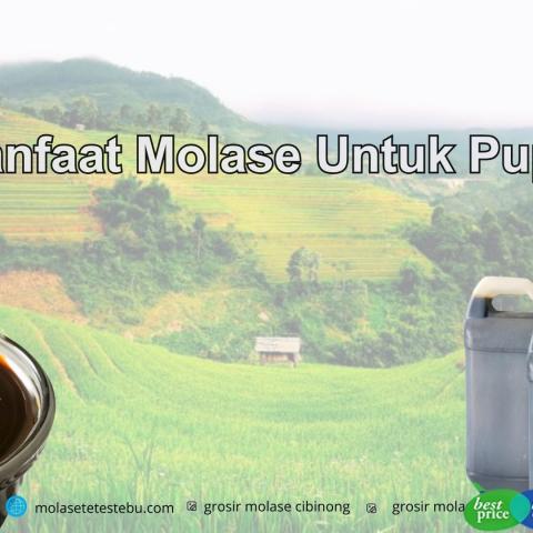 Manfaat Molase Untuk Pupuk
