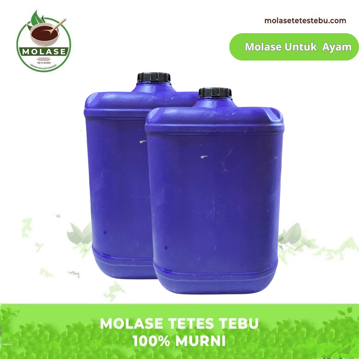 Produk Web Molase (2)