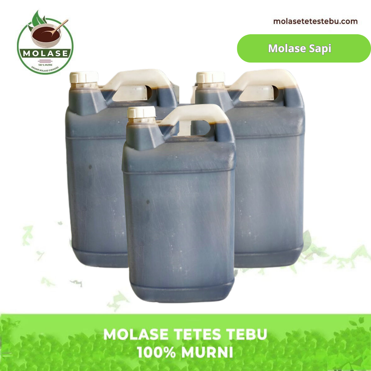 Produk Web Molase